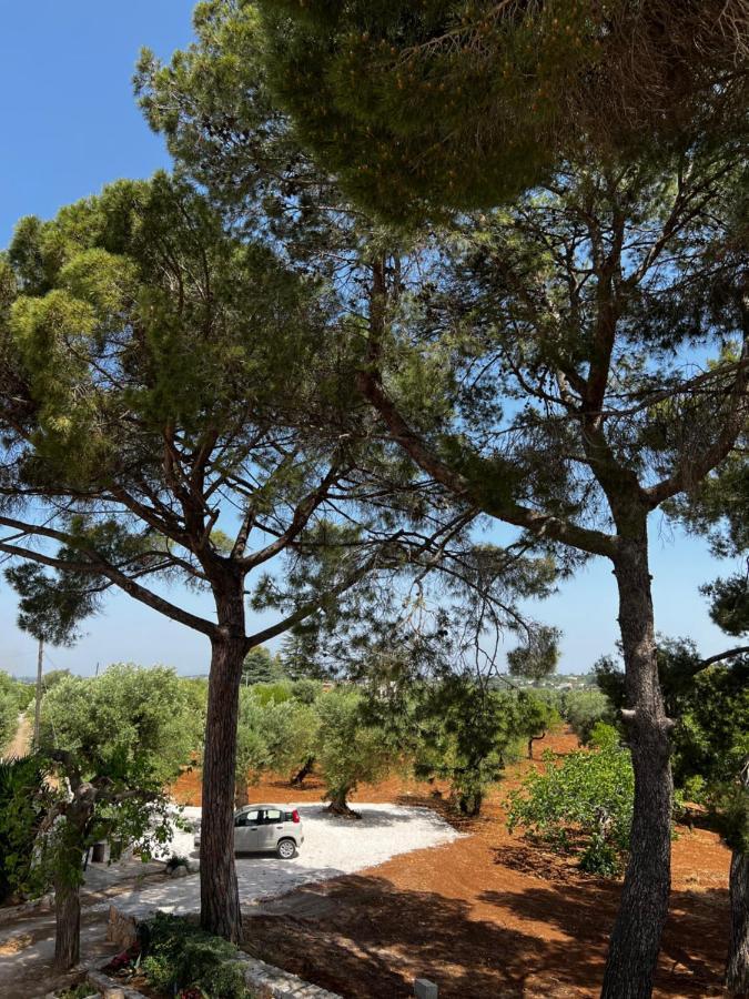 Masseria Concorrano Apartment Castellana Grotte Exterior photo
